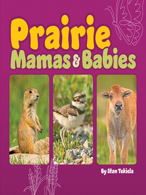 cover image of Prairie Mamas & Babies